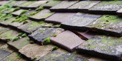 Wadebridge roof repair costs
